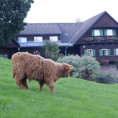 Отель Klugbauer 3*