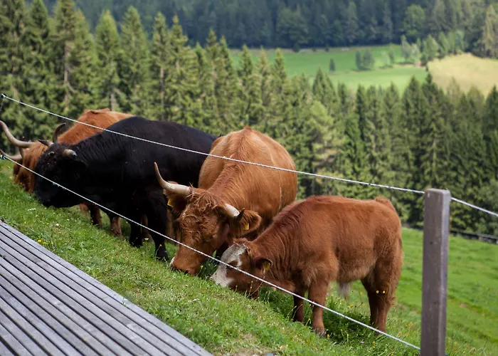 酒店 Klugbauer Sommereben